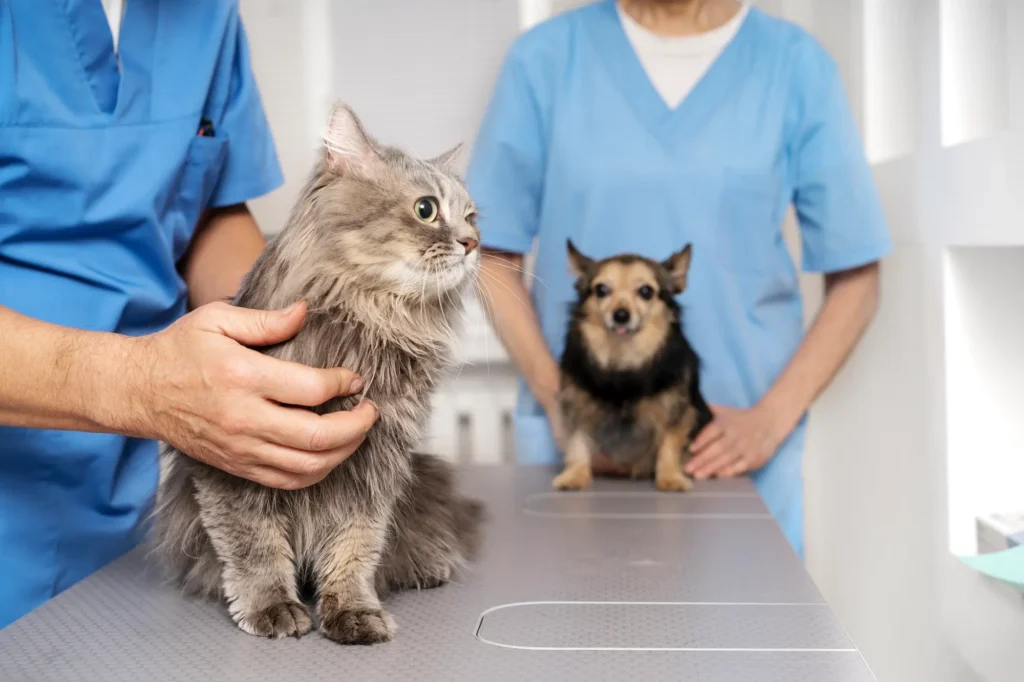 A Complete Range of Veterinary Services Vet Care Plus India