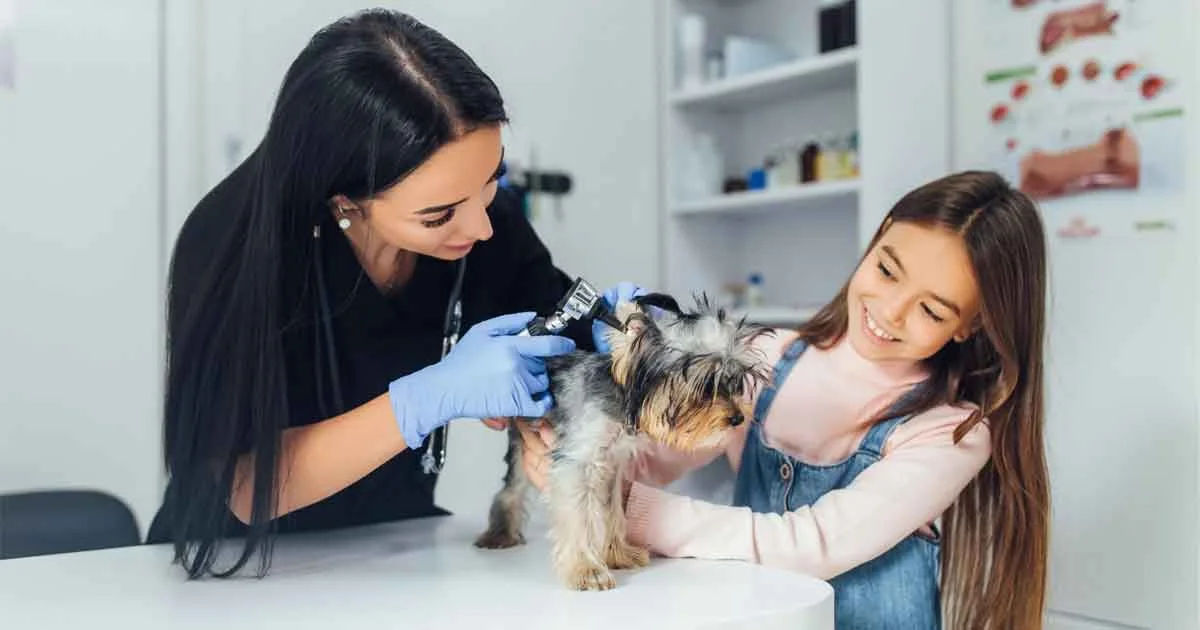 Pet Veterinary Clinic