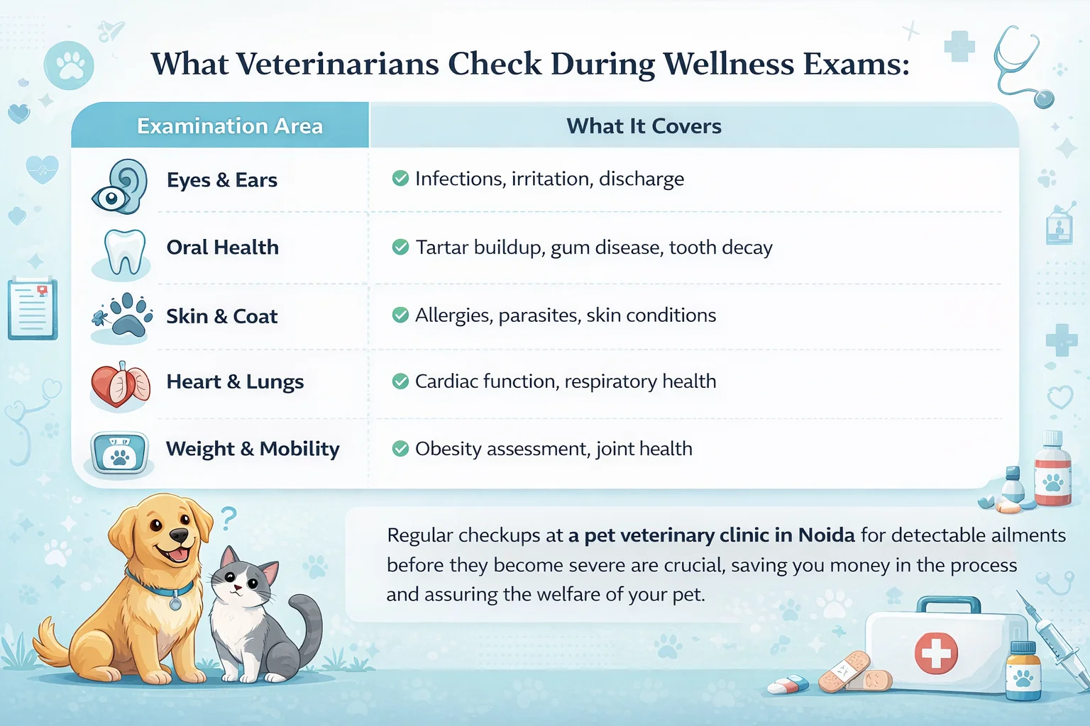 What Veterinarians Check During Wellness Exams