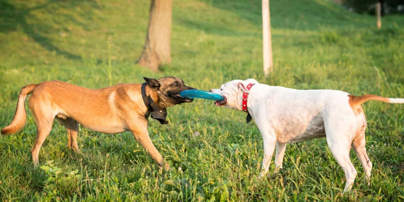 Behavioral & Routine Information We Collect