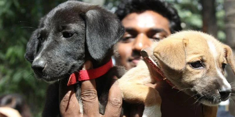 Early Detection Means Better Care — Book Your Diagnostic Test Today