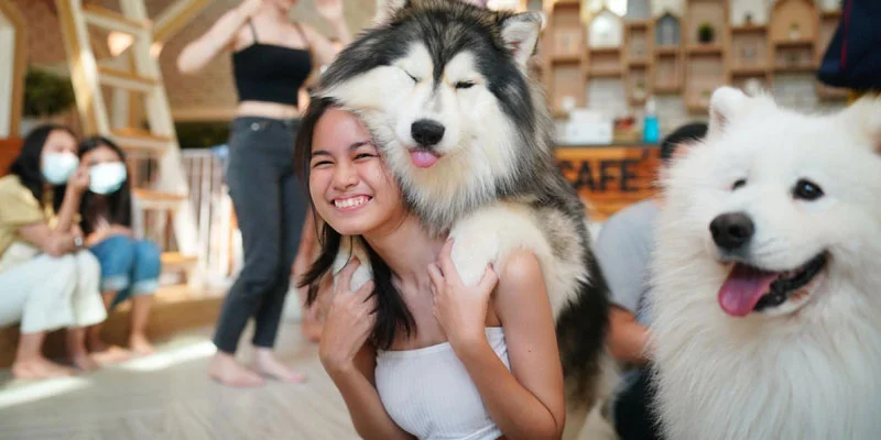 Packing Essentials for Your Pet at Vet Care+