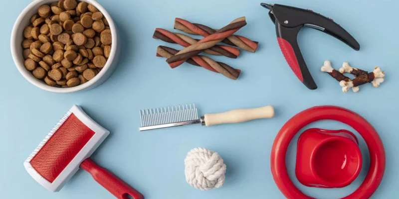 Essential Grooming Tools for Beginners