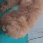 hahk1gwopo86yb5epyfk