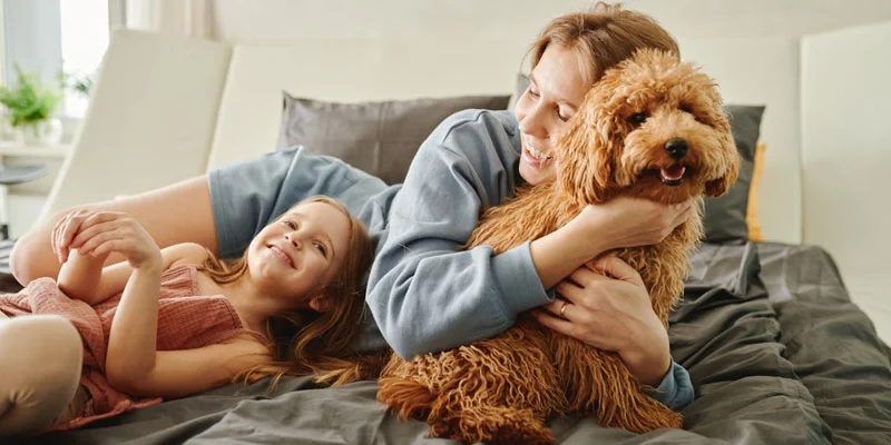 Can Dogs for Hot Weather Survive Heatstroke? Facts Every Pet Parent Should Know