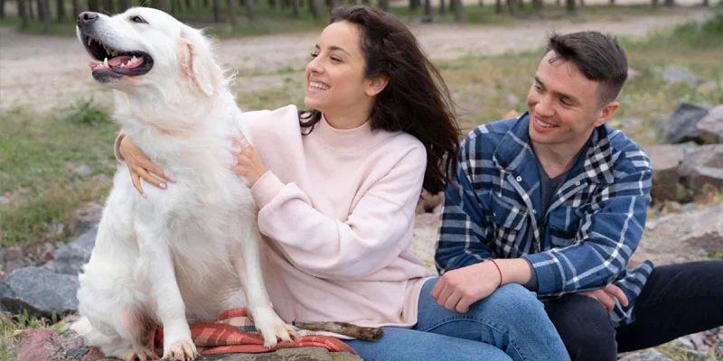 Common Mistakes Pet Parents Make in Summer Care